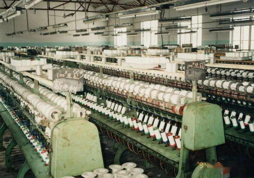 吳江民營(yíng)經(jīng)濟(jì)領(lǐng)跑江蘇 財(cái)務(wù)咨詢的關(guān)鍵角色